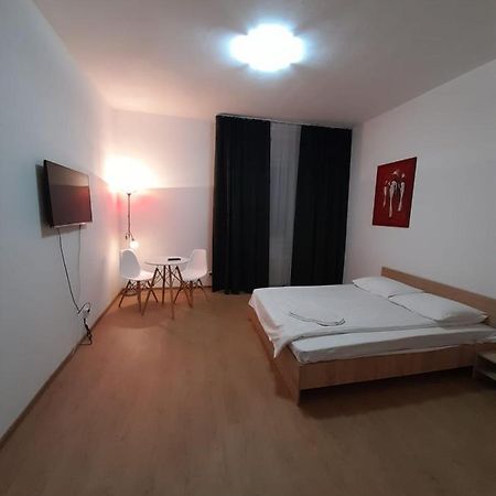 Piata Unirii- 1 Room Studio Apartment Тімішоара Екстер'єр фото